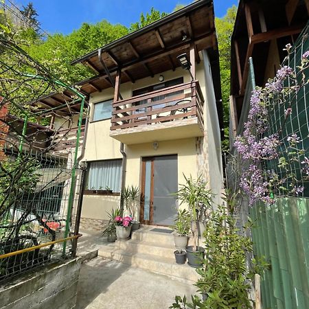 Casa Din Padure Villa Băile Olăneşti Exteriör bild